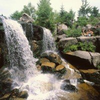 Waterval